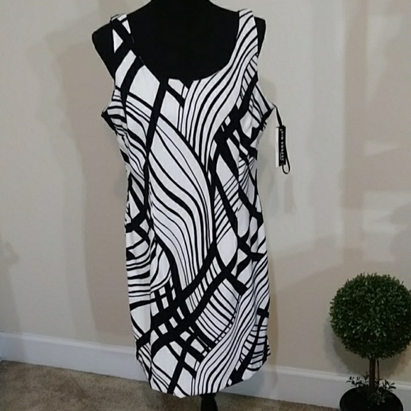 Kim Rogers Dresses & Skirts - 🌟HP🌟Kim Rogers Signature Petite Stretch Dress